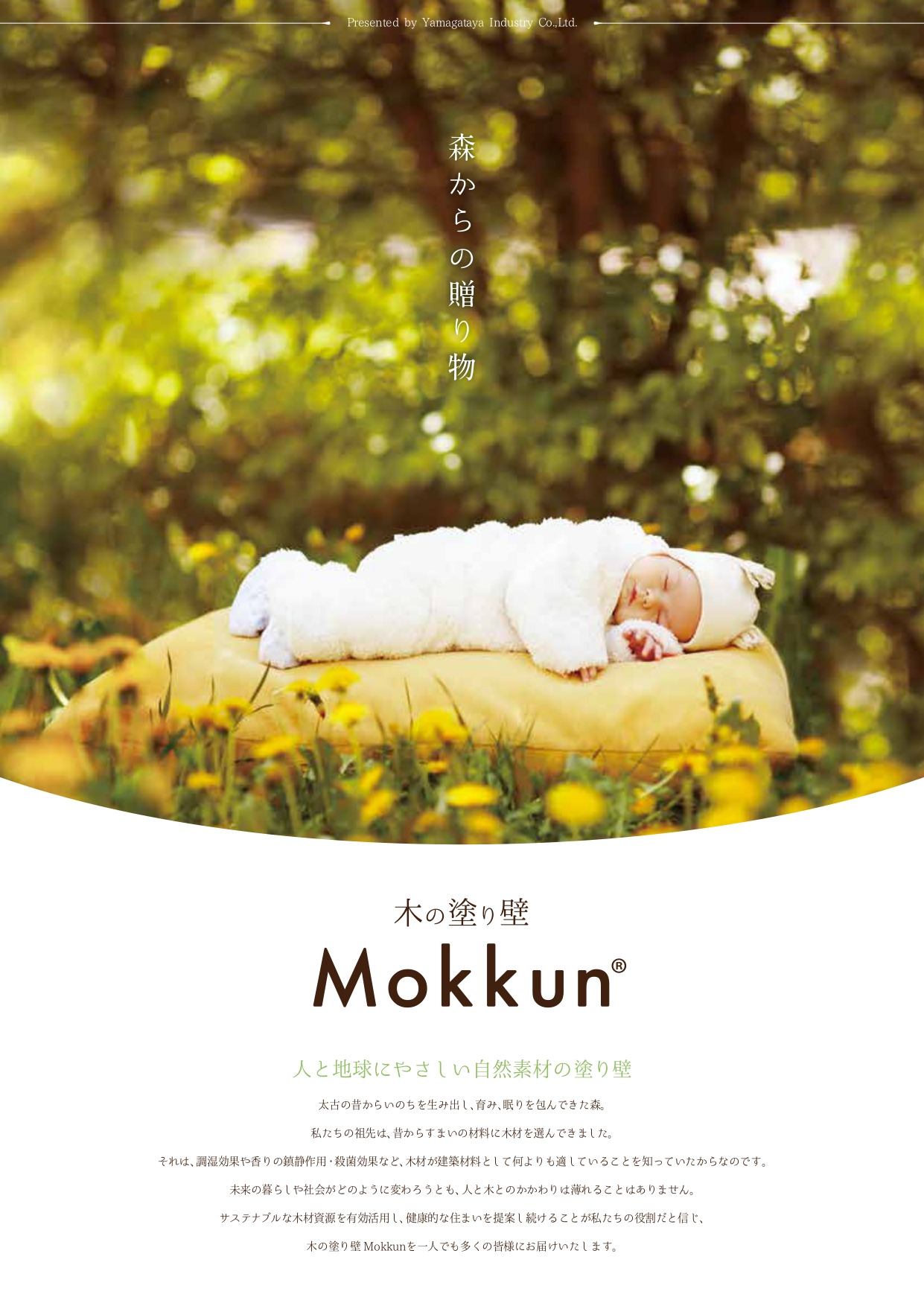 木の塗り壁 Mokkun カタログ